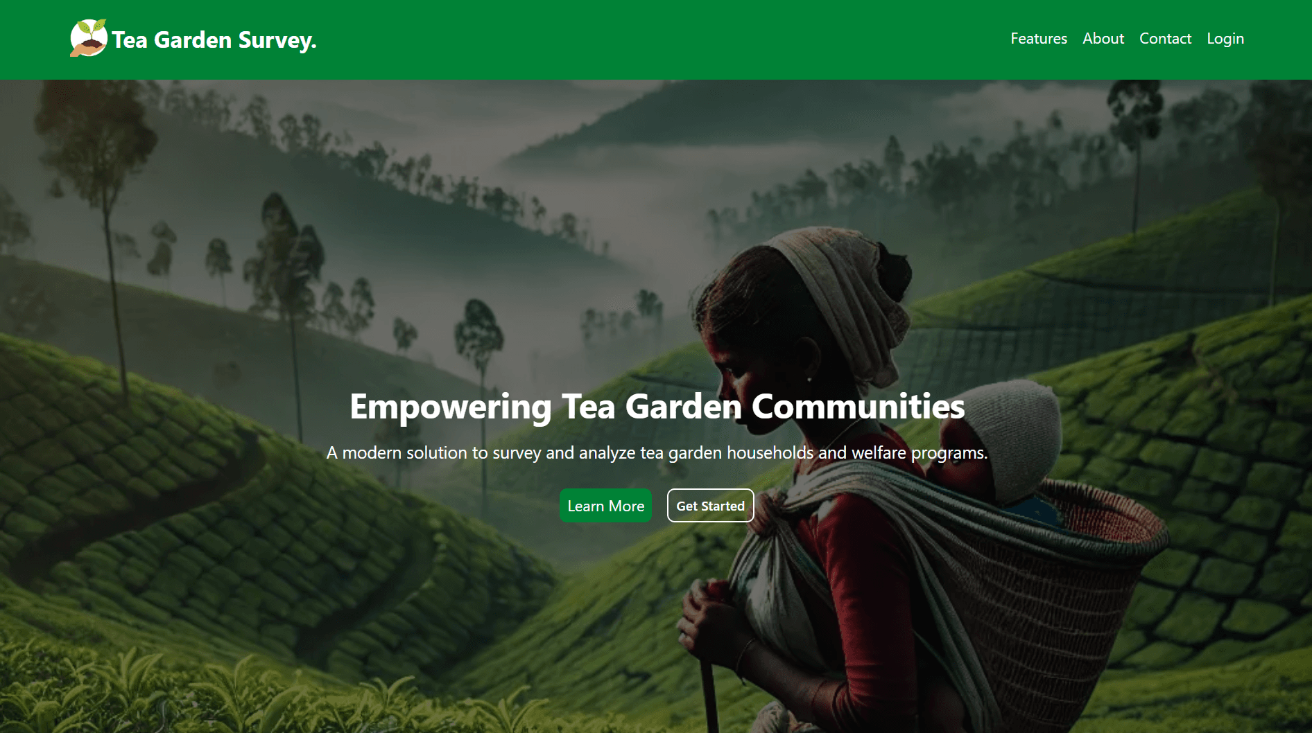 Tea Garden Web